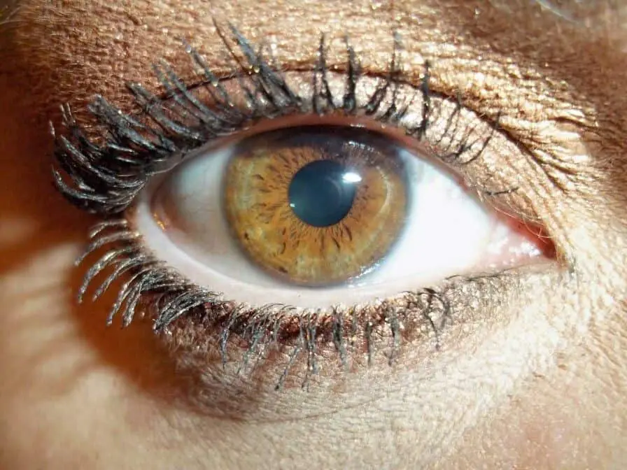 Are dark olive green eyes rare?