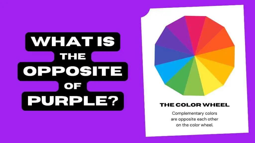 What is the opposite color of purple?