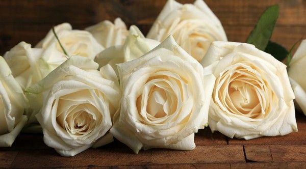 What does a white rose mean at a funeral?