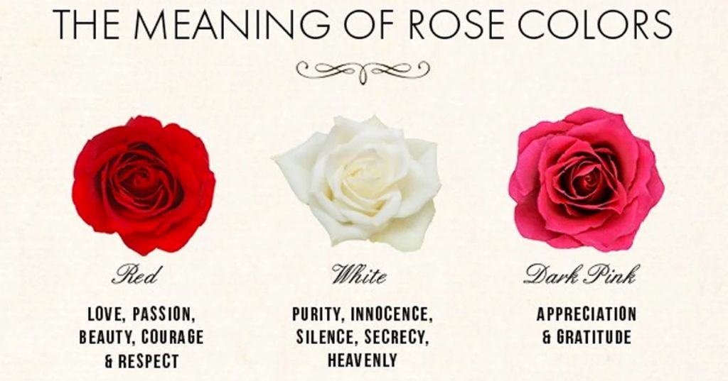 What color roses mean life?