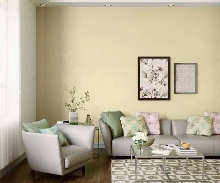 Which Asian paint color is best for home?
