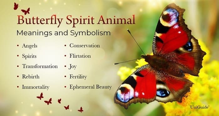 What is the spiritual meaning of a butterfly?
