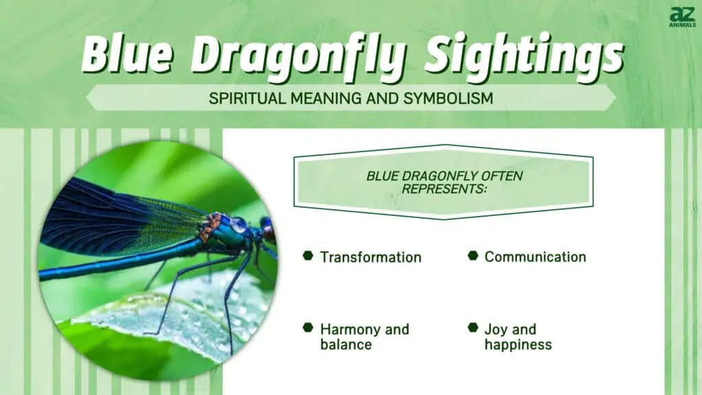 Is it good luck to have dragonflies in your yard?