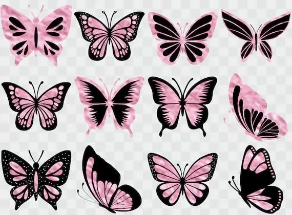 What is the name of the pink and black butterfly?