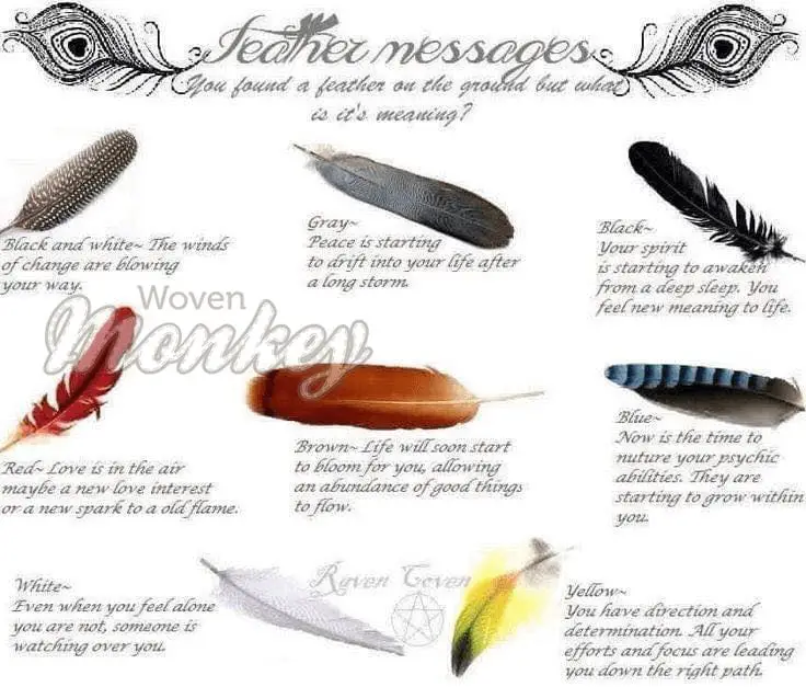 What do feathers mean to Native Americans