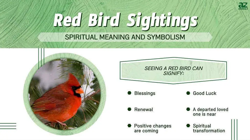 What does different birds symbolize?