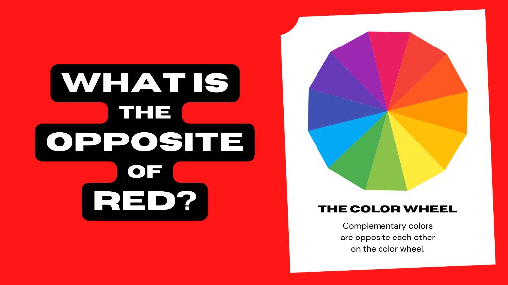 What’s the opposite of the color red?