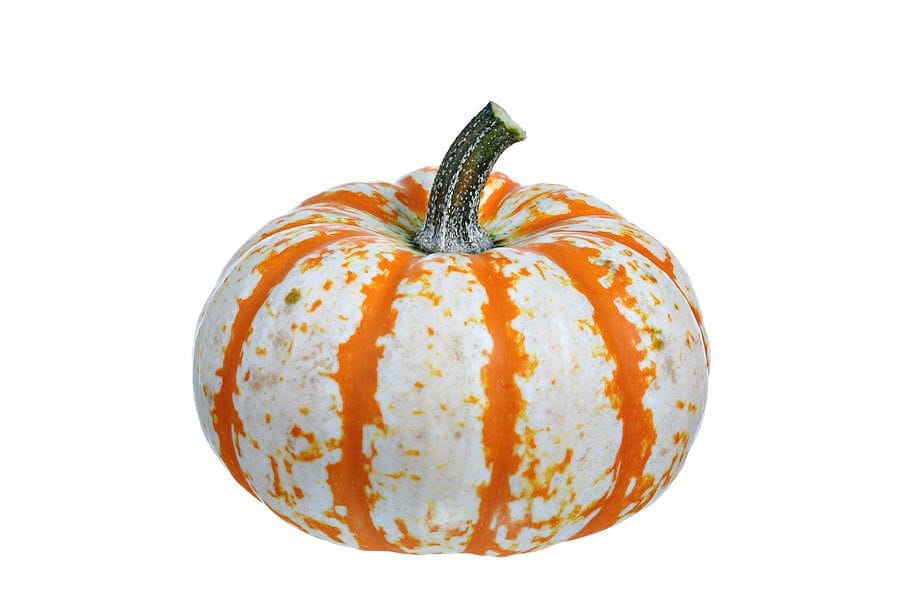 What is the name of the orange and white pumpkin?
