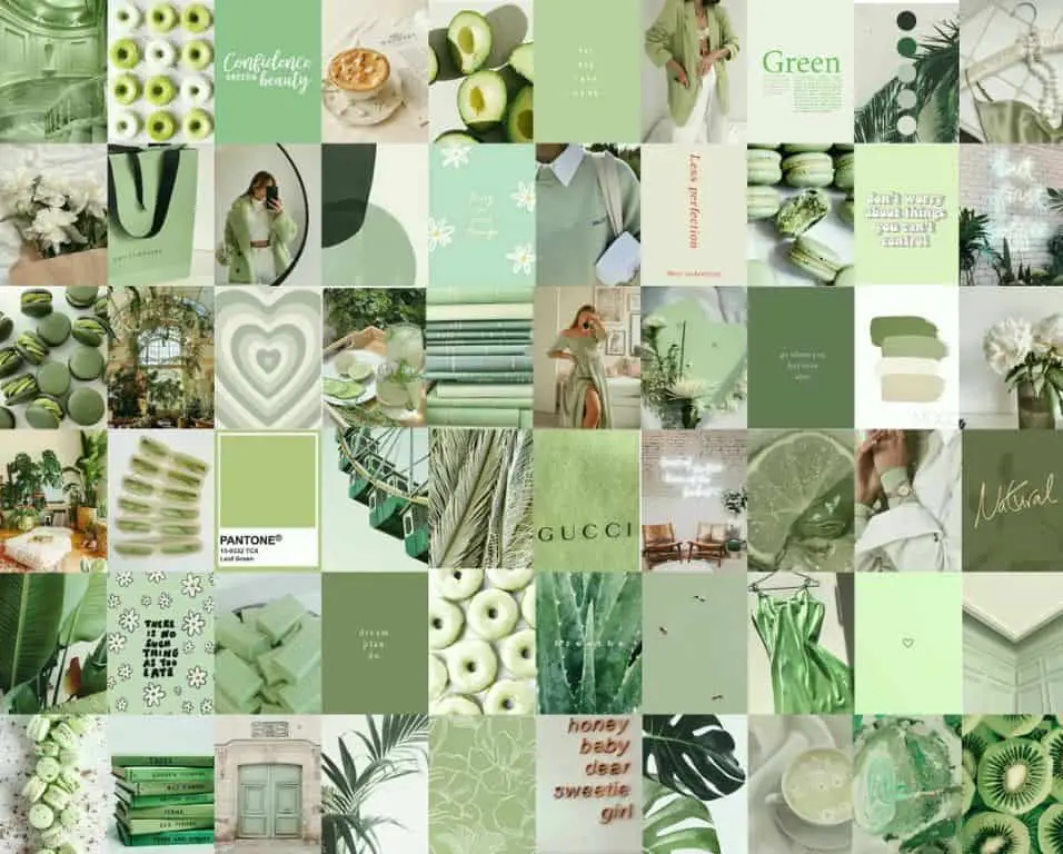 What is the hex code for aesthetic green?
