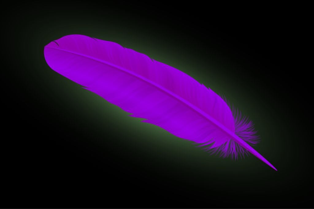 What does the purple feather mean?
