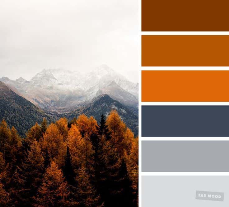 What Colour goes well with burnt orange?
