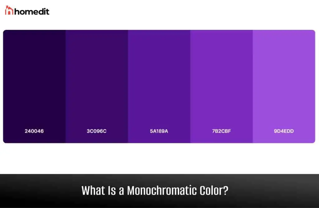 What is monochromatic color example?