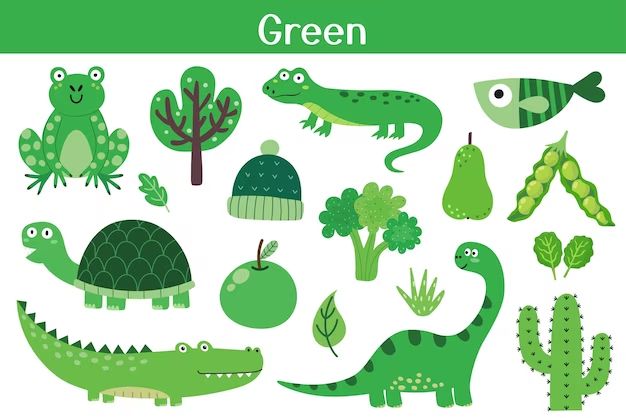 Which things are in green colour?