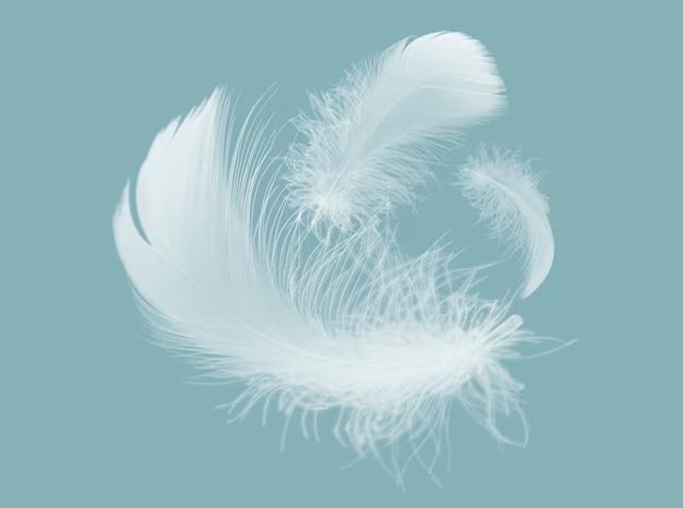 What is the meaning of seeing feathers in dream?