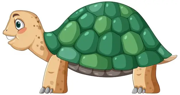 What looks like a turtle but is not a turtle?