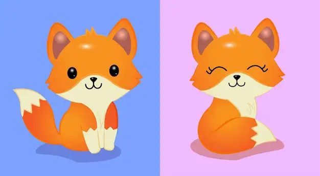 What color are male and female foxes?