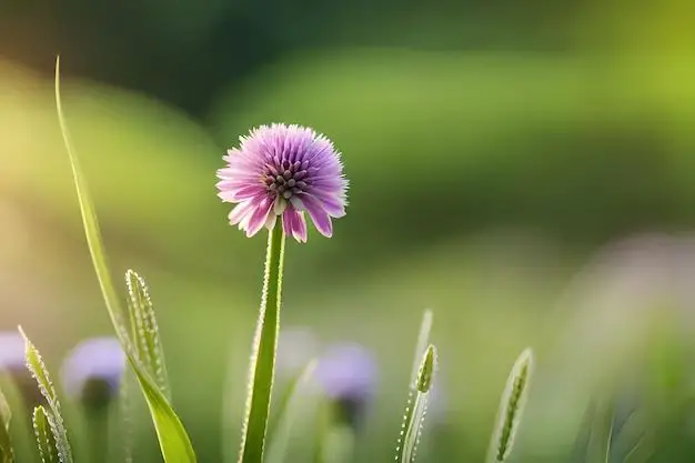 What is a purple flower with their name?