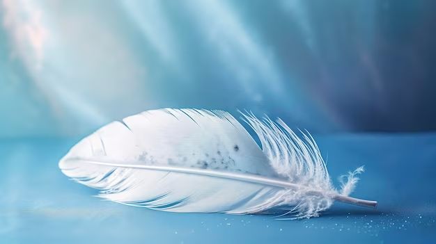 What is the meaning of finding a dove feather?