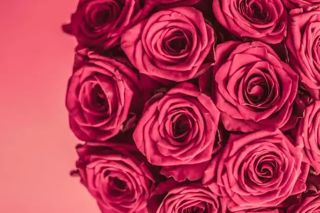 Are pink or red roses more expensive?