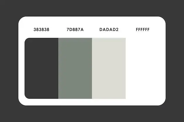 What do you call a black and white color scheme?