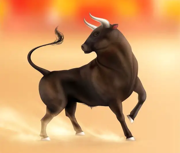 What to do if a bull chases you?