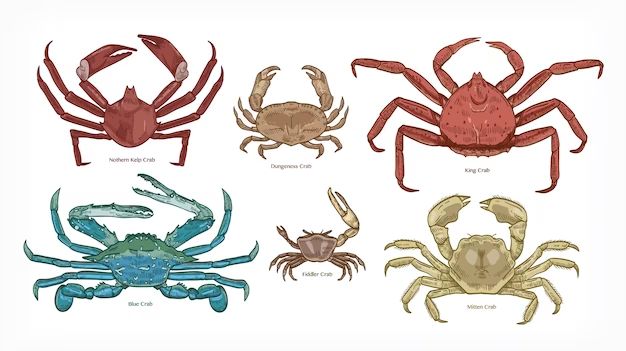 What type of crabs can be kept as pets?