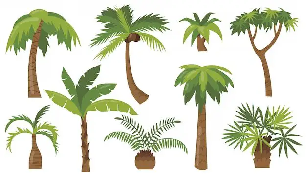 What is the easiest palm tree to keep alive?