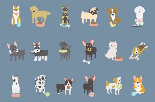 What dog breed has most color variations?