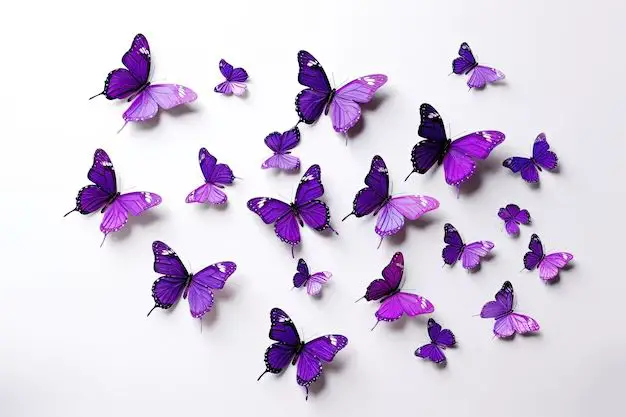 What kind of purple butterflies are there?